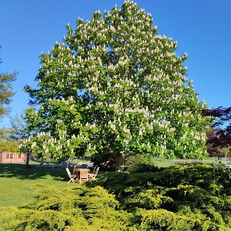Hébergement de vacances Château De Féligonde *