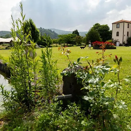 Au Chateau De Feligonde Sayat