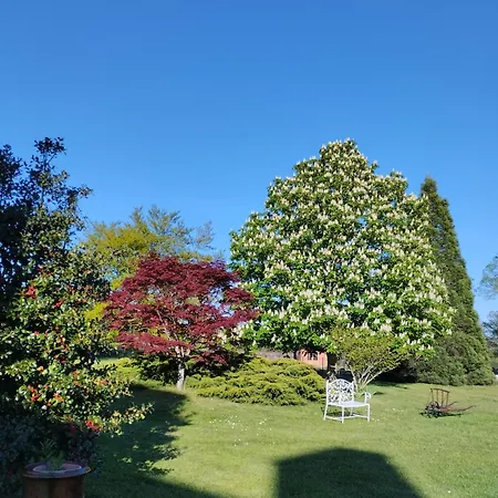 Château De Féligonde Hébergement de vacances