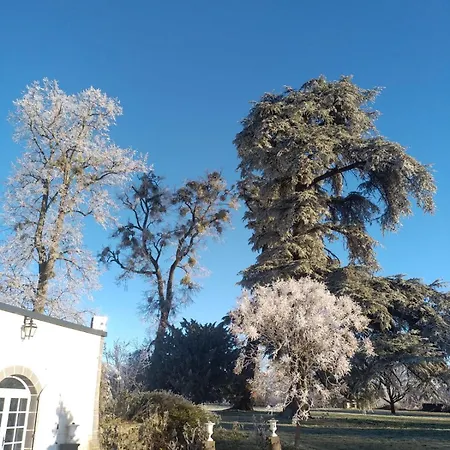 Château De Féligonde Hébergement de vacances *