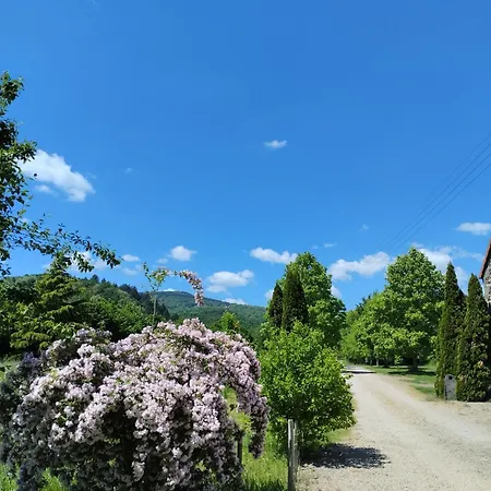 Hébergement de vacances Château De Féligonde *